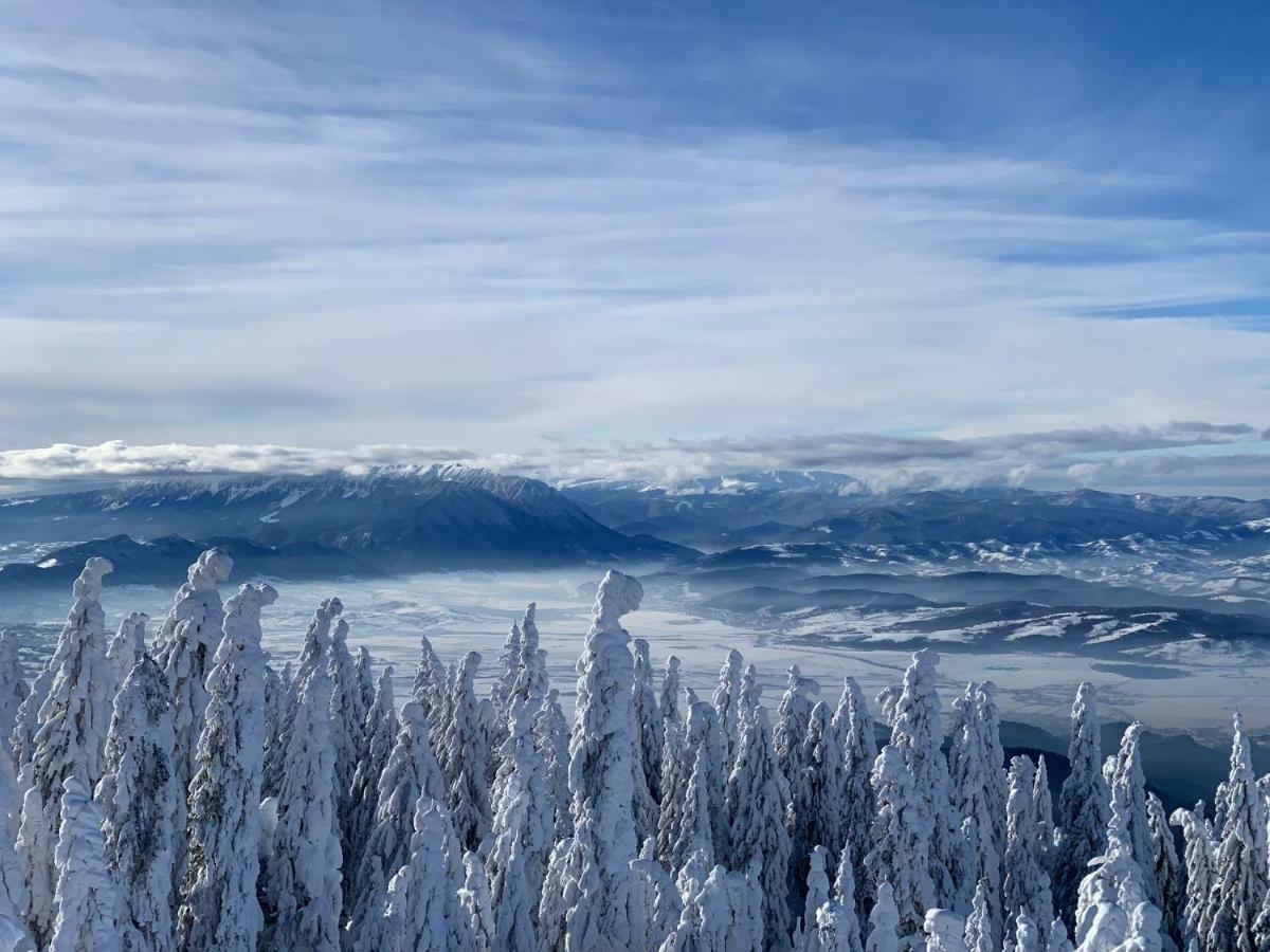 Silver Mountain Poiana Braşov Dış mekan fotoğraf
