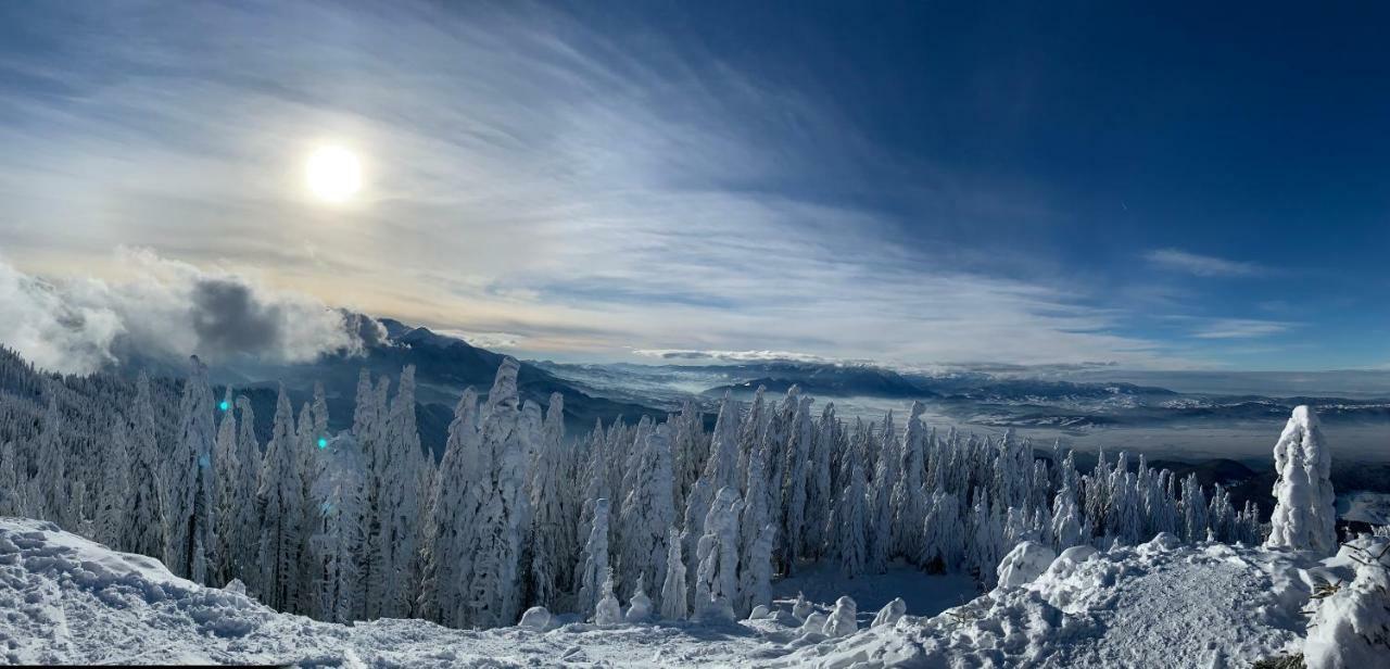 Silver Mountain Poiana Braşov Dış mekan fotoğraf